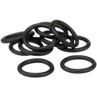 O-ring för X21 AGA
