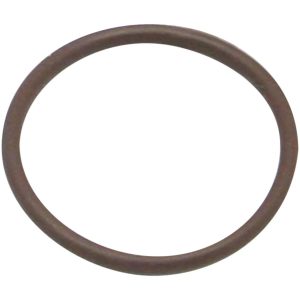 O-Ring Viton S&S Cycle