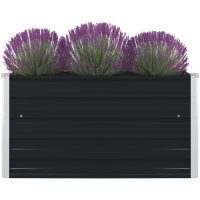 Odlingslåda 100x100x45 cm galvaniserat stål antracit vidaXL