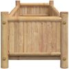 Odlingslåda 100x30x25 cm bambu vidaXL 100 x 40 x 150 cm – miniatyr 5