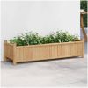 Odlingslåda 100x30x25 cm bambu vidaXL 100 x 40 x 150 cm – miniatyr 1