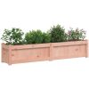 Odlingslåda 150x31x31 cm massivt douglasträ vidaXL – miniatyr 4