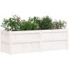Odlingslåda 150x50x50 cm vit massiv furu vidaXL – miniatyr 4