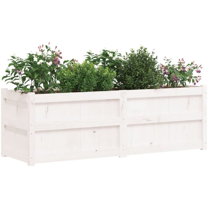 Odlingslåda 150x50x50 cm vit massiv furu vidaXL – bild 4