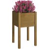 Odlingslåda 2 st honungsbrun 40x40x70 cm massiv furu vidaXL – miniatyr 3