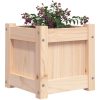 Odlingslåda 31x31x31 cm massiv furu vidaXL – miniatyr 4