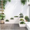 Odlingslåda 4 nivåer vit massiv furu vidaXL 80.5 x 79 x 36 cm – miniatyr 3