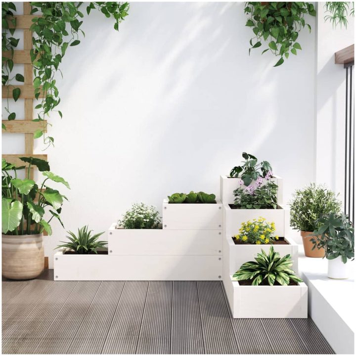 Odlingslåda 4 nivåer vit massiv furu vidaXL 80.5 x 79 x 36 cm – bild 3