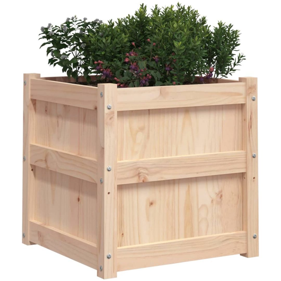 Odlingslåda 50x50x50 cm massivt furuträ vidaXL – bild 4
