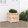 Odlingslåda 50x50x50 cm massivt furuträ vidaXL – miniatyr 1