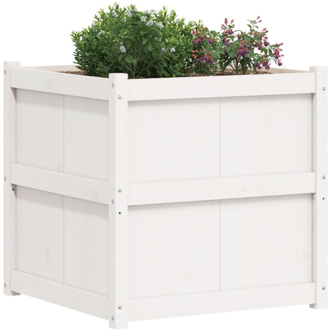 Odlingslåda 70x70x70 cm vit massiv furu vidaXL – bild 4