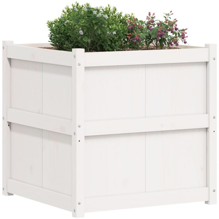 Odlingslåda 70x70x70 cm vit massiv furu vidaXL – bild 4