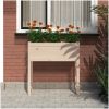 Odlingslåda 78x40x81 cm massiv furu vidaXL – miniatyr 3
