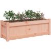 Odlingslåda 90x31x31 cm massivt douglasträ vidaXL – miniatyr 4