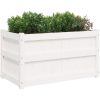 Odlingslåda 90x50x50 cm vit massiv furu vidaXL – miniatyr 4
