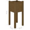 Odlingslåda honungsbrun 31x31x70 cm massiv furu vidaXL – miniatyr 7