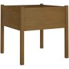 Odlingslåda honungsbrun 70x70x70 cm massiv furu vidaXL – miniatyr 2