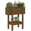 Odlingslåda honungsbrun massiv furu vidaXL 62 x 30 x 69 cm – miniatyr 3