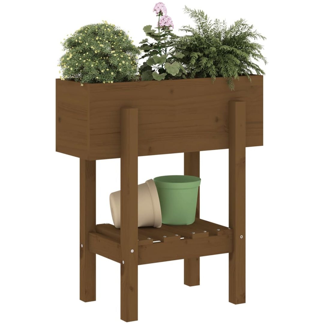 Odlingslåda honungsbrun massiv furu vidaXL 62 x 30 x 69 cm – bild 3