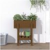 Odlingslåda honungsbrun massiv furu vidaXL 62 x 30 x 69 cm – miniatyr 1