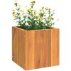 Odlingslåda massivt akaciaträ vidaXL 25 x 25 x 25 cm – miniatyr 4
