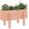 Odlingslåda massivt douglasträ vidaXL 62 x 30 x 38 cm – miniatyr 3