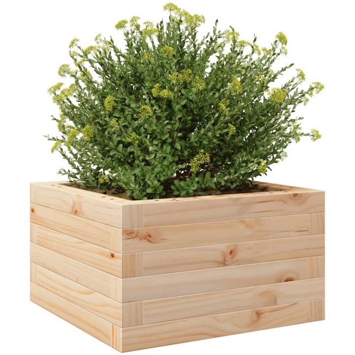 Odlingslåda massivt furuträ vidaXL 40 x 40 x 23 cm – bild 4