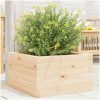 Odlingslåda massivt furuträ vidaXL 40 x 40 x 23 cm – miniatyr 1