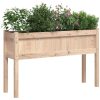 Odlingslåda med ben 110x31x70 cm massivt douglasträ vidaXL – miniatyr 4