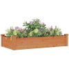 Odlingslåda med foder brun massivt granträ vidaXL 120 x 60 x 25 cm – miniatyr 3