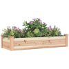 Odlingslåda med foder massivt granträ vidaXL 120 x 45 x 25 cm – miniatyr 3