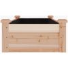 Odlingslåda med foder massivt granträ vidaXL 120 x 45 x 25 cm – miniatyr 5
