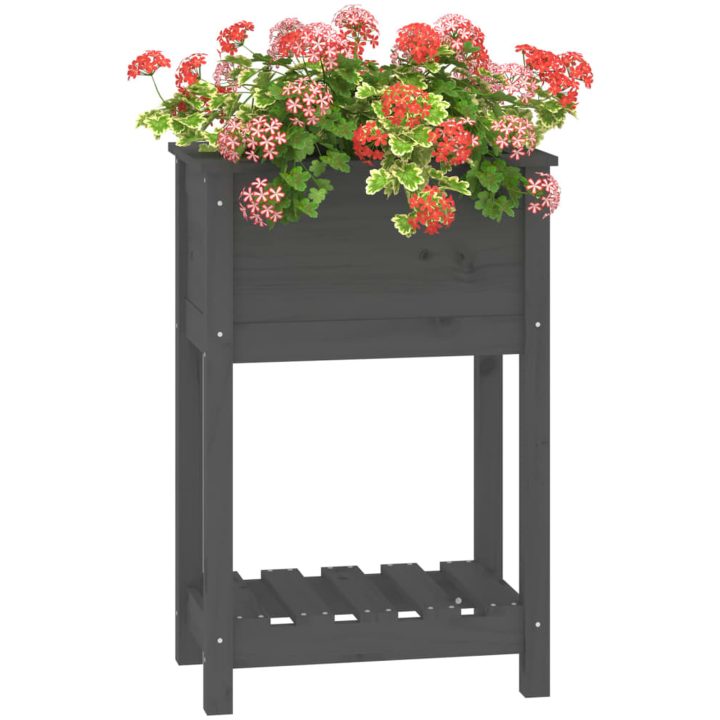 Odlingslåda med hylla grå massiv furu vidaXL 54 x 34.5 x 81 cm – bild 4