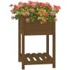 Odlingslåda med hylla honungsbrun 54x54x81 cm massiv furu vidaXL 57 x 54 x 81 cm – miniatyr 4