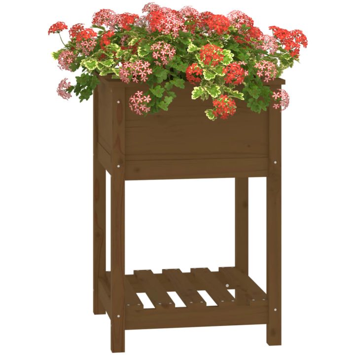 Odlingslåda med hylla honungsbrun 54x54x81 cm massiv furu vidaXL 57 x 54 x 81 cm – bild 4