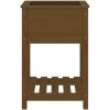 Odlingslåda med hylla honungsbrun 54x54x81 cm massiv furu vidaXL 57 x 54 x 81 cm – miniatyr 5