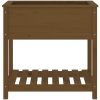 Odlingslåda med hylla honungsbrun massiv furu vidaXL 82.5 x 54 x 81 cm – miniatyr 5