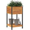 Odlingslåda med hylla massiv akacia och stål vidaXL 45 x 45 x 80 cm – miniatyr 3