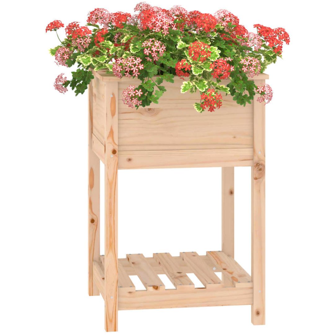 Odlingslåda med hylla massiv furu vidaXL 54 x 54 x 81 cm – bild 4