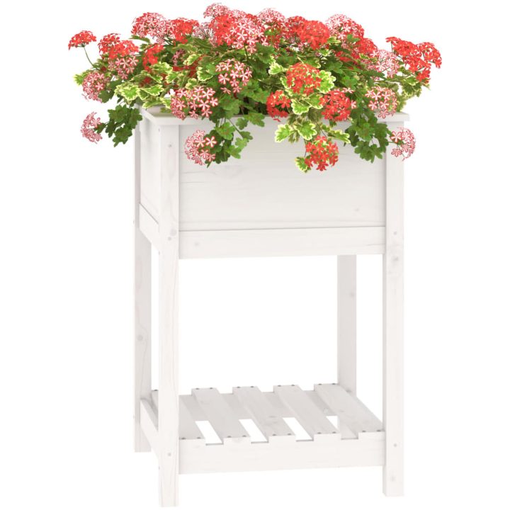Odlingslåda med hylla vit 54x54x81 cm massiv furu vidaXL 55 x 54 x 81 cm – bild 4