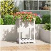 Odlingslåda med hylla vit 54x54x81 cm massiv furu vidaXL 55 x 54 x 81 cm – miniatyr 1