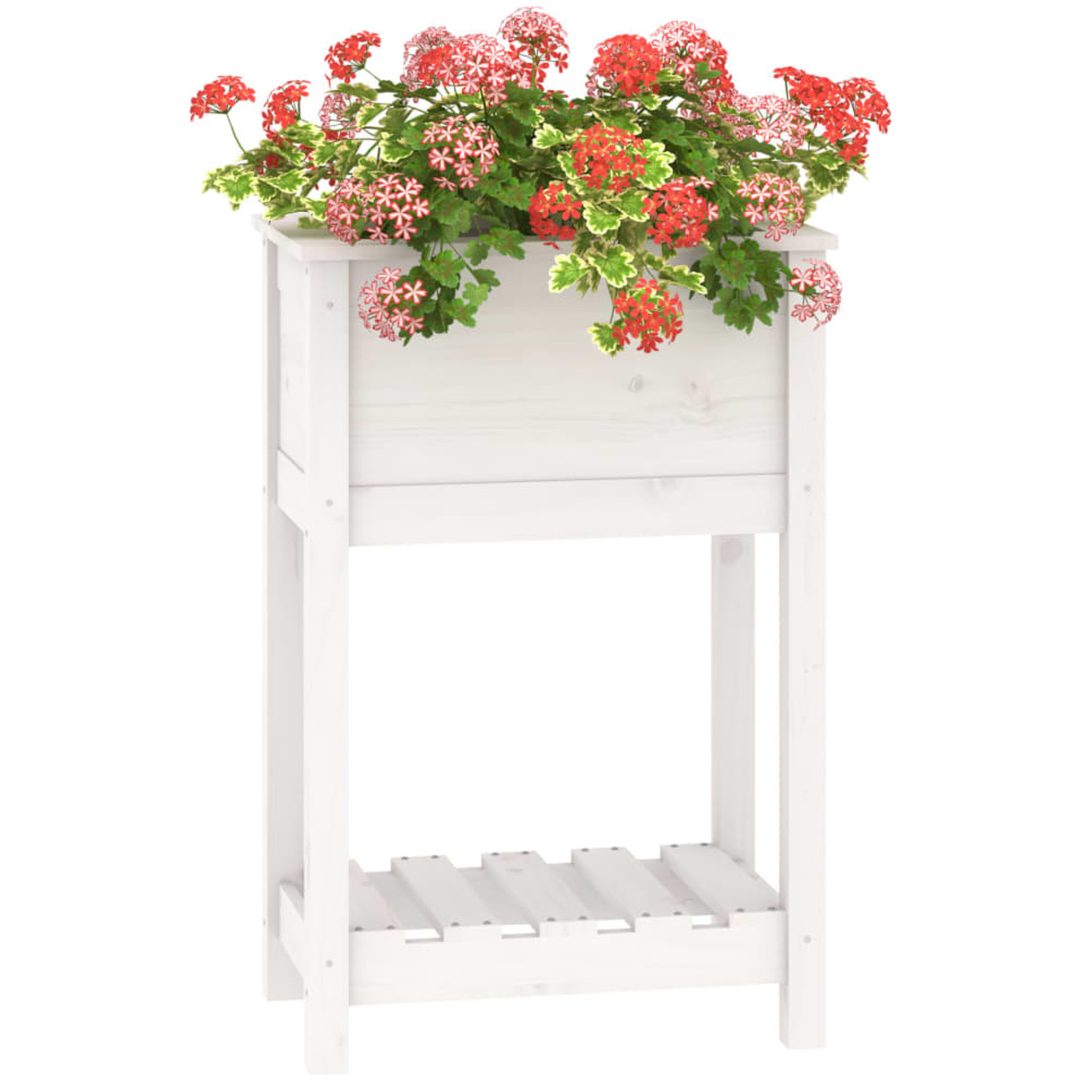 Odlingslåda med hylla vit massiv furu vidaXL 54 x 34.5 x 81 cm – bild 4