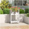 Odlingslåda med hylla vit massiv furu vidaXL 54 x 34.5 x 81 cm – miniatyr 1