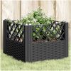 Odlingslåda med piggar svart PP vidaXL 43,5 x 43,5 x 43,5 cm – miniatyr 1