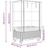 Odlingslåda med växthusöverdrag hjul rottinglook 80x50x182 cm vidaXL – miniatyr 9