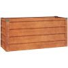 Odlingslåda rostig rosttrögt stål vidaXL 100 x 40 x 45 cm – miniatyr 2