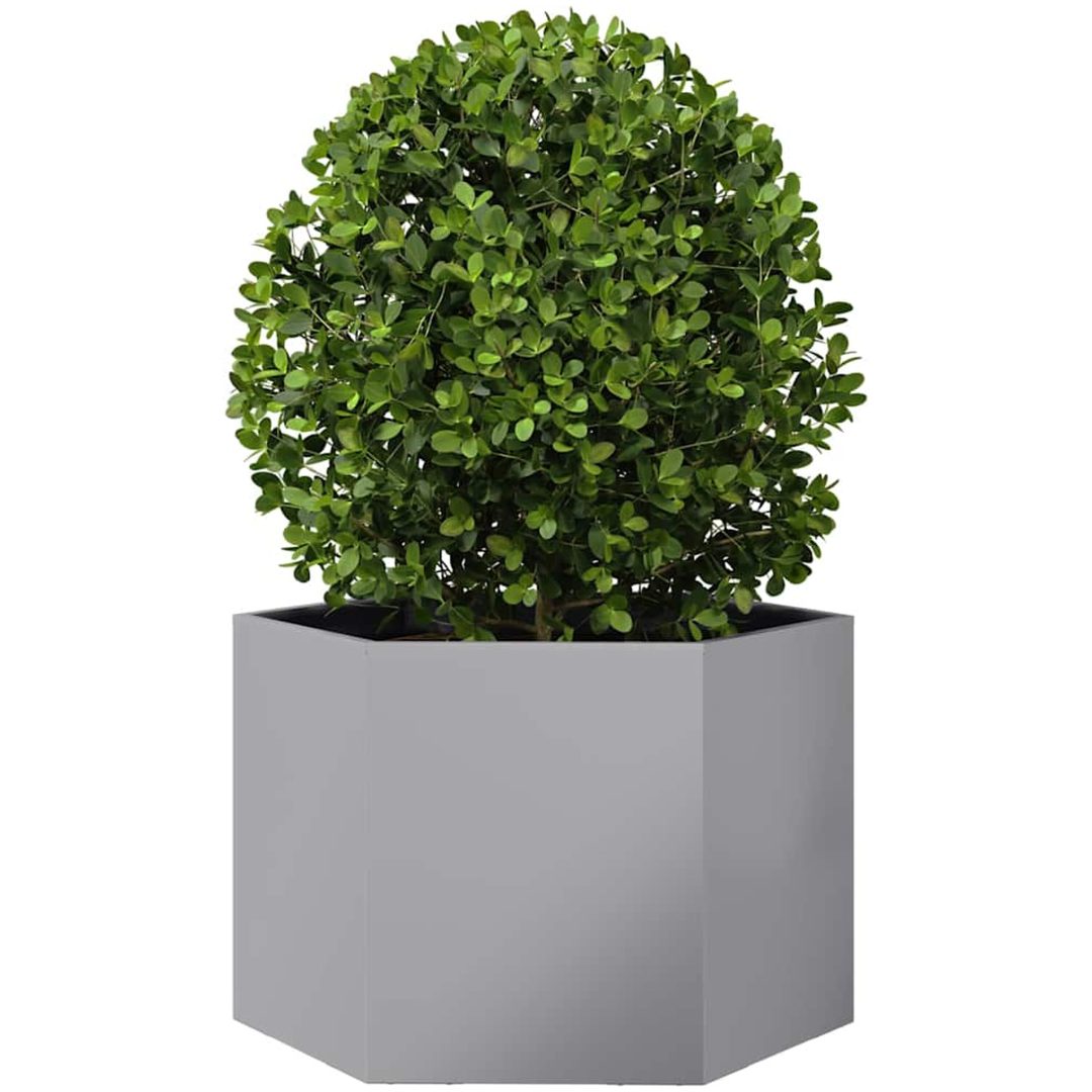 Odlingslåda sexkantig galvaniserat stål vidaXL 69 x 60 x 45 cm – bild 3