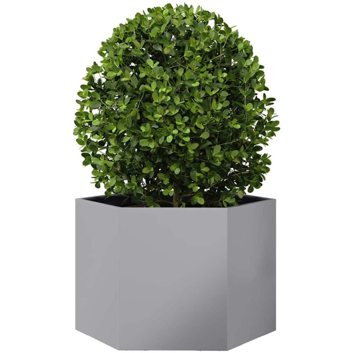 Odlingslåda sexkantig galvaniserat stål vidaXL 69 x 60 x 45 cm – bild 3