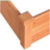 Odlingslåda upphöjd brun 120x120x56 cm massivt granträ vidaXL – miniatyr 6