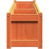 Odlingslåda vaxbrun 180x31x31 cm massiv furu vidaXL – miniatyr 6